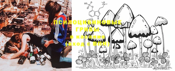 MESCALINE Бородино